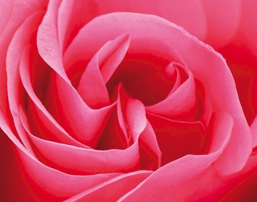 Caixas de correio Lustful Pink Rose