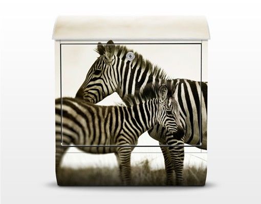 Caixas de correio em preto e branco Zebra Couple