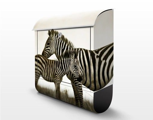 caixas de correio Zebra Couple