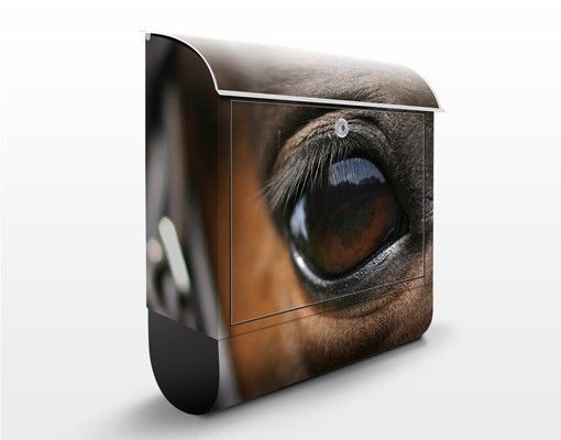 Caixas de correio animais Horse Eye