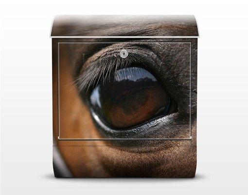 Caixas de correio em marrom Horse Eye