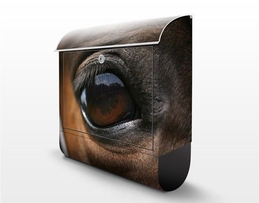 caixa de correio para muro Horse Eye