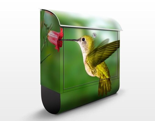 Caixas de correio animais Hummingbird And Flower