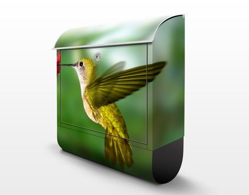 Caixa correio verde Hummingbird And Flower