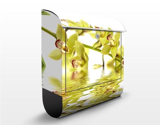 Caixas de correio flores Elegant Orchid Waters
