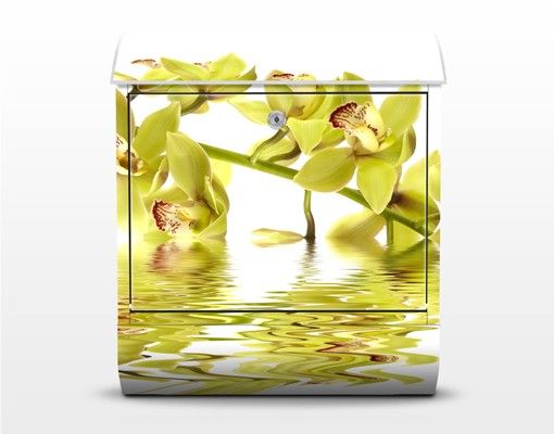 Caixas de correio em branco Elegant Orchid Waters