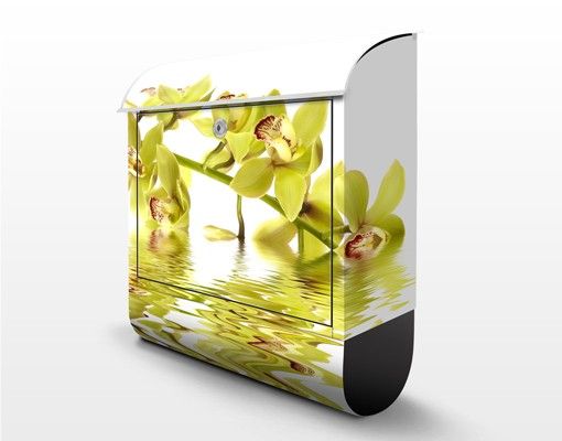 Caixas de correio em amarelo Elegant Orchid Waters