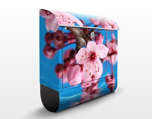 Caixas de correio flores Cherry Blossom