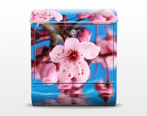 Caixas de correio em rosa Cherry Blossom