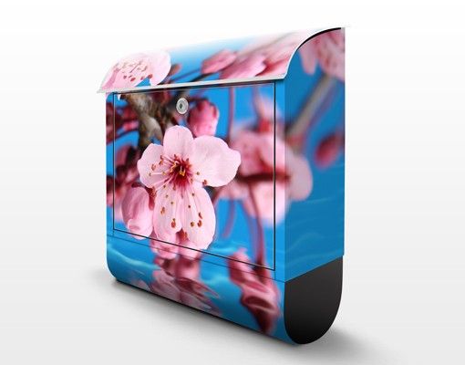 caixas de correio exteriores Cherry Blossom
