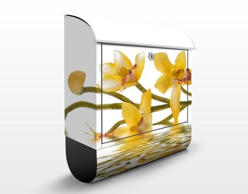 Caixas de correio flores Saffron Orchid Waters