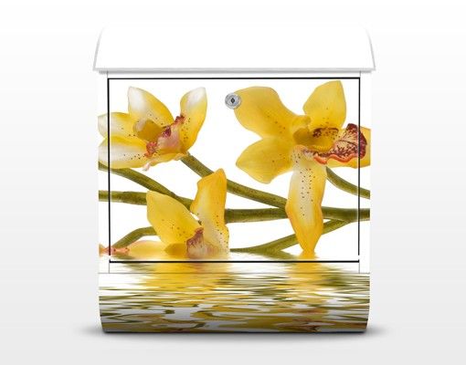 Caixas de correio em amarelo Saffron Orchid Waters