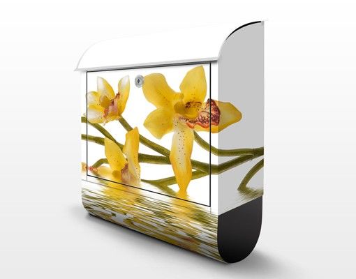 caixas de correio Saffron Orchid Waters