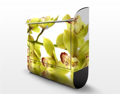 Caixas de correio Splendid Orchid Waters