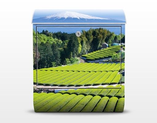 caixa correio verde Tea Fields In Front Of The Fuji