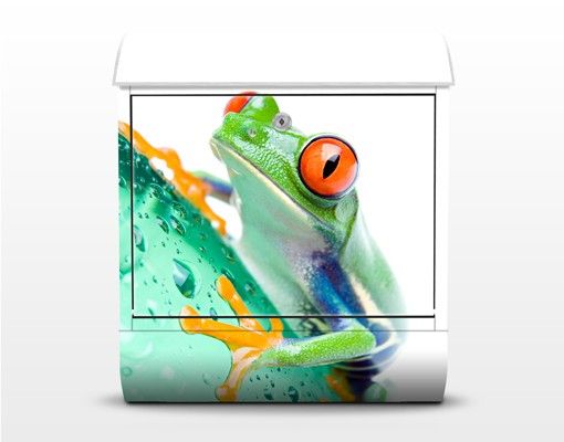 caixa de correio para muro Frog