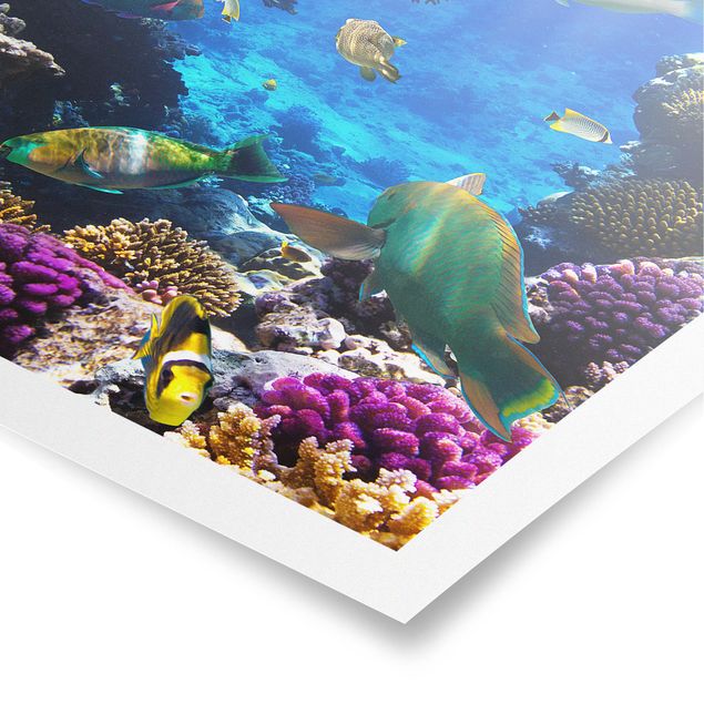 quadro decorativo mar Underwater Dreams