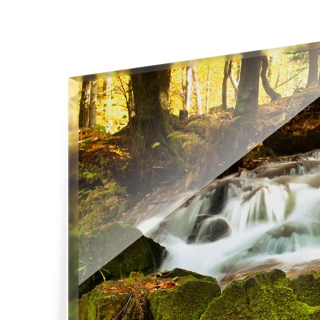 Painel anti-salpicos de cozinha Waterfall Autumnal Forest