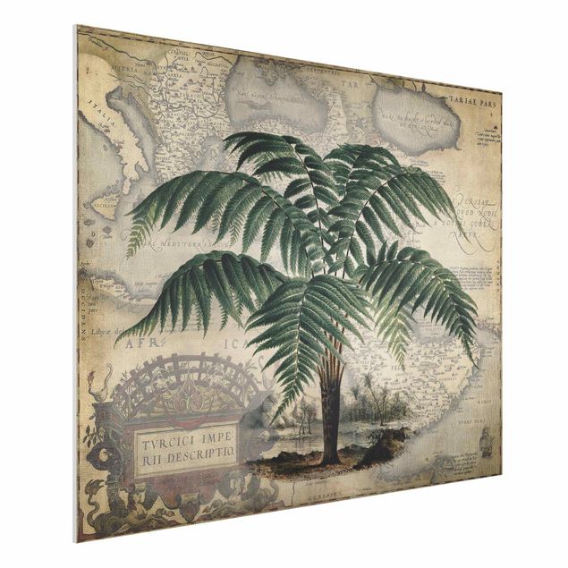 decoraçoes cozinha Vintage Collage - Palm And World Map