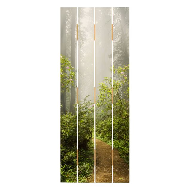 decoração quadros Misty Forest Path