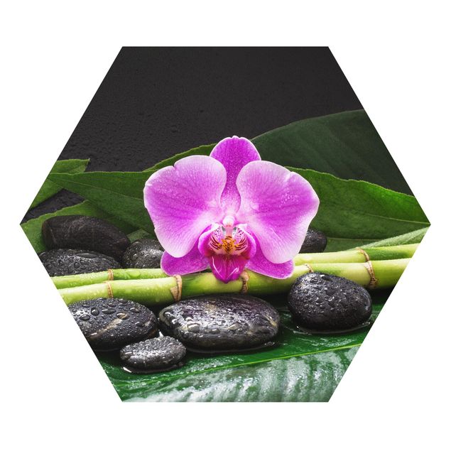 quadros flores Green Bamboo With Orchid Blossom