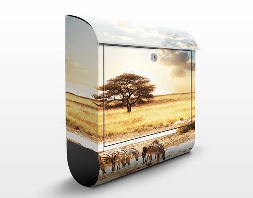 Caixas de correio paisagens Zebras' lives