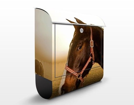 Caixas de correio animais Early Horse