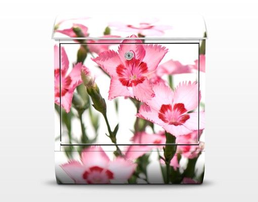 Caixas de correio em rosa Pink Flowers