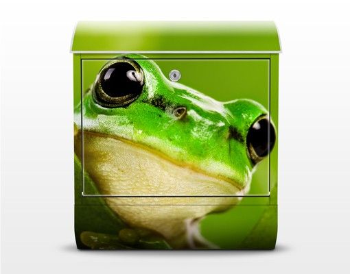 caixa correio verde Frog