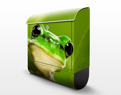 caixa de correio para muro Frog