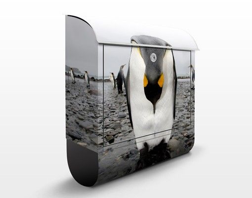 Caixas de correio animais Penguin