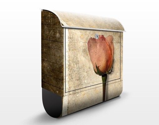 Caixas de correio flores Inner Rose