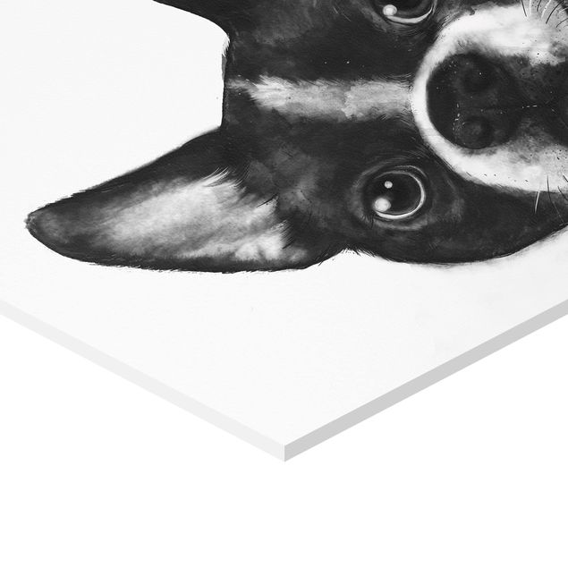Quadros decorativos Illustration Dog Boston Black And White Painting