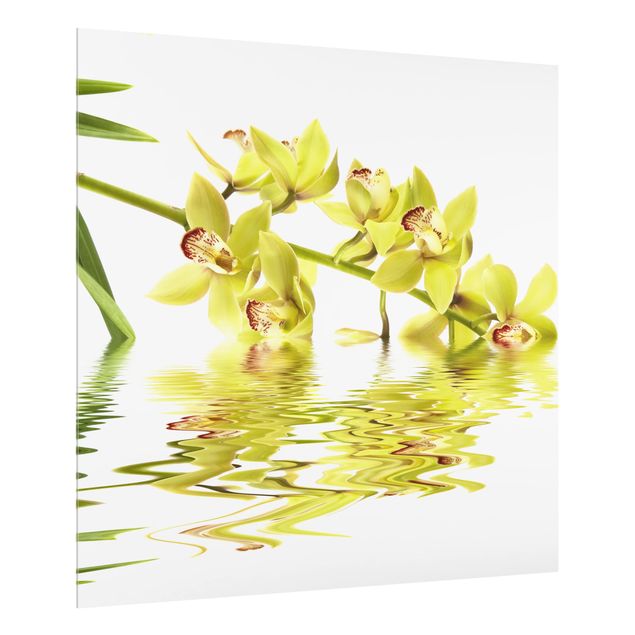 Painel antisalpicos Elegant Orchid Waters