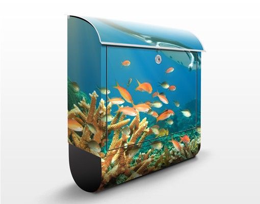 Caixas de correio animais Coral reef