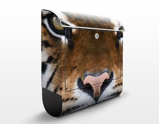 Caixas de correio animais Tiger Eyes