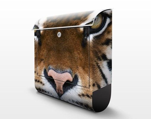 caixa de correio para muro Tiger Eyes