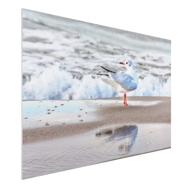 decoraçao para parede de cozinha Seagull On The Beach In Front Of The Sea