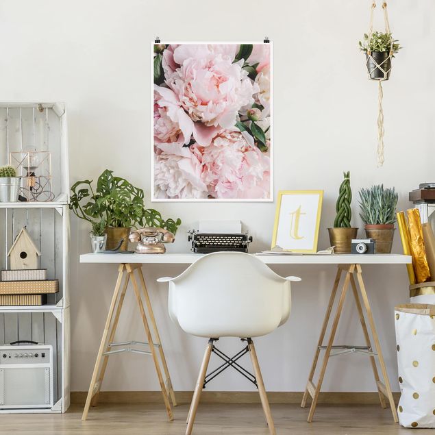 Posters flores Peonies Light Pink