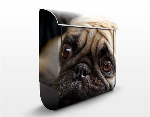 Caixas de correio animais Pensive Pug