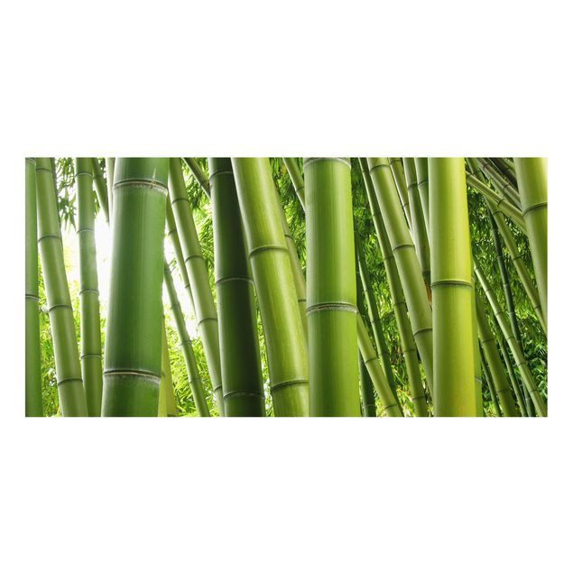 Painel anti-salpicos de cozinha Bamboo Trees