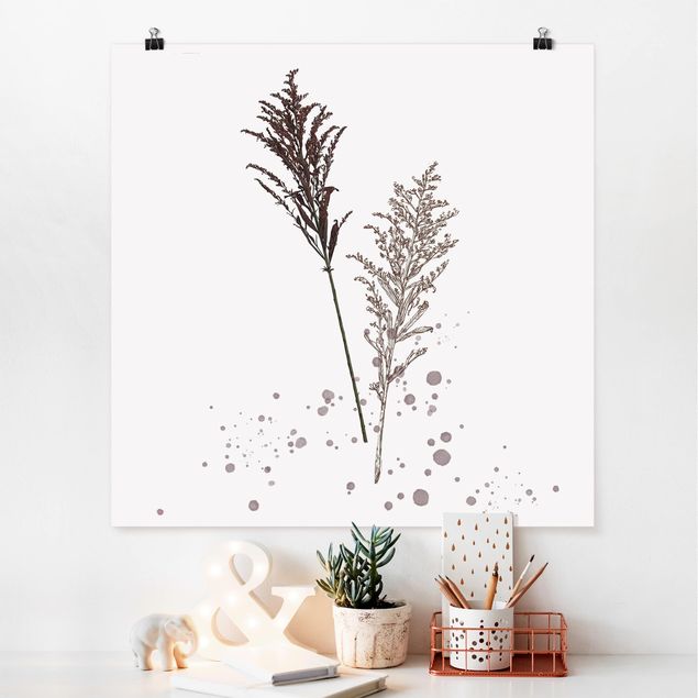 Posters flores Botanical Watercolour - Fescue Reed