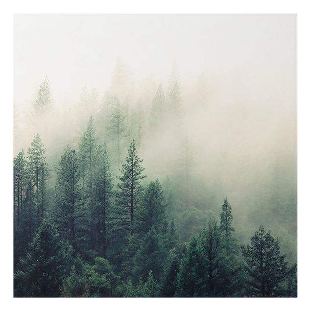 quadro com árvore Foggy Forest Awakening