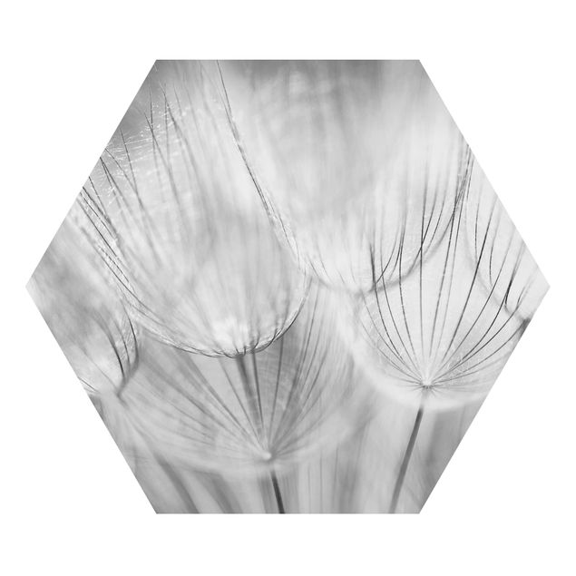 quadros em preto e branco Dandelions Macro Shot In Black And White