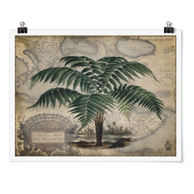 Posters quadros famosos Vintage Collage - Palm And World Map