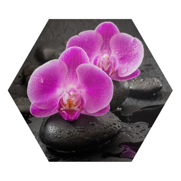 Quadros famosos Pink Orchid Flower On Stones With Drops