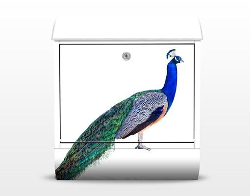 Caixas de correio multicoloridas Peacock