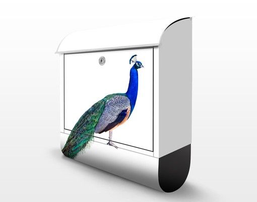 caixas de correio exteriores Peacock