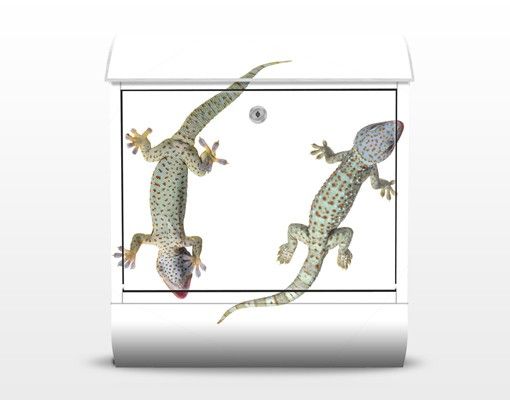 caixa correio verde Nosey Geckos