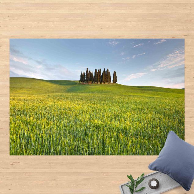 tapetes de exterior Green Field In Tuscany